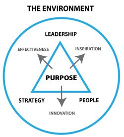 leadership, stategey, management, purpose, goals, effectiveness, innovation, inspiration